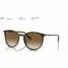 Ray Ban Sonnenbrille RB2204