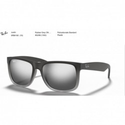 Ray Ban Sonnenbrille Austin